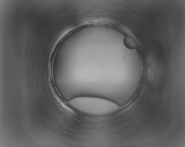 X0000053001079200507080949