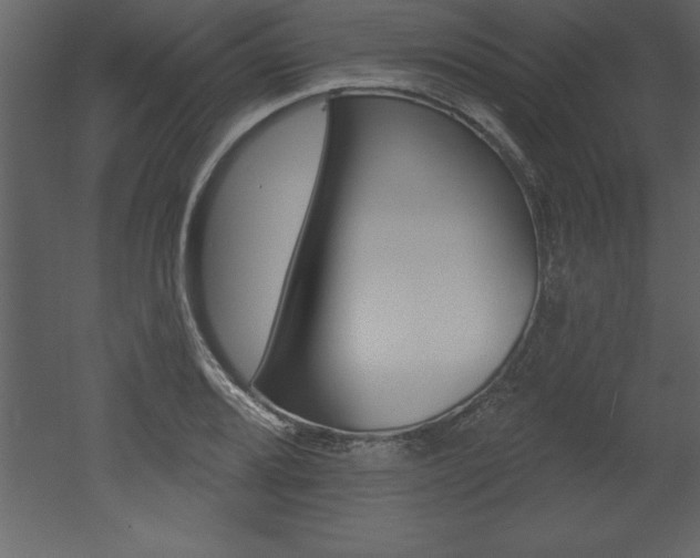 X0000053001080200507080949