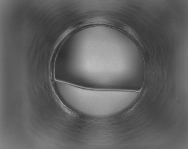 X0000053001082200507080949