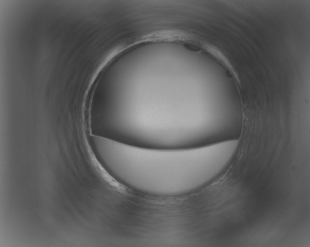 X0000053001091200507080949
