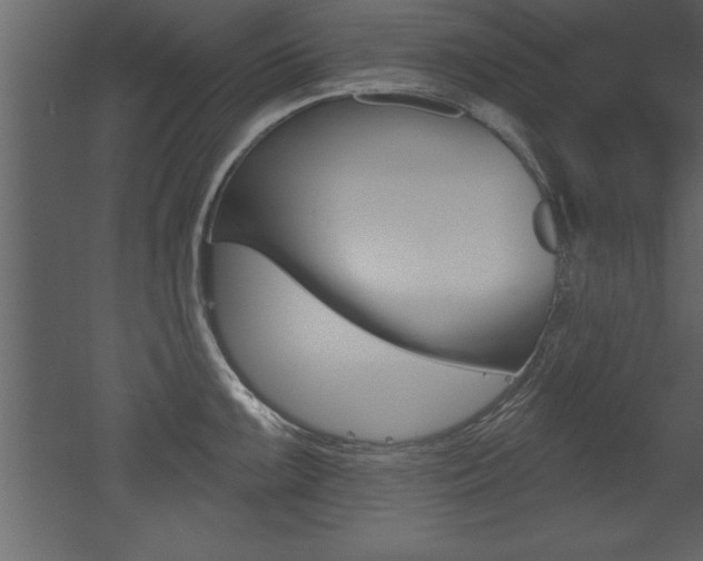 X0000053001099200507080949