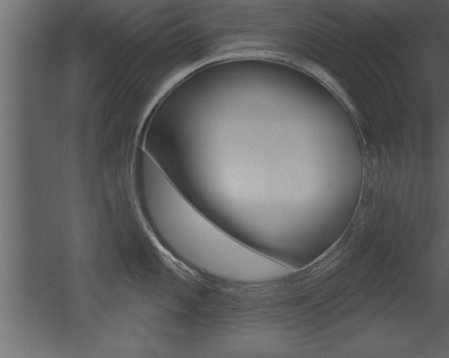 X0000053001101200507080949