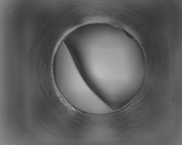X0000053001104200507080948