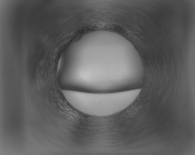 X0000053001105200507080948