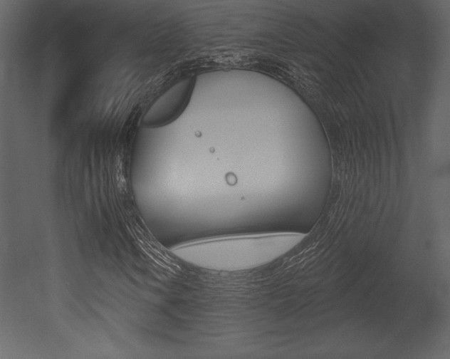 X0000053001106200507080948