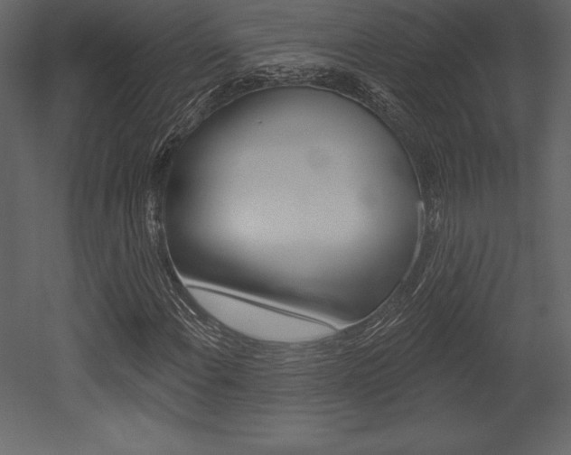 X0000053001108200507080948