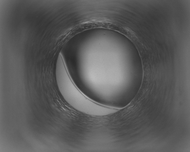 X0000053001110200507080948