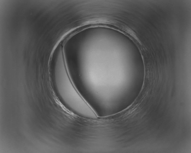X0000053001116200507080948