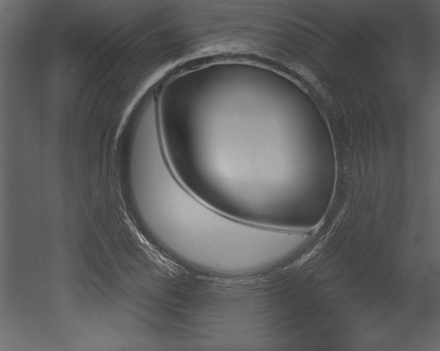 X0000053001118200507080948