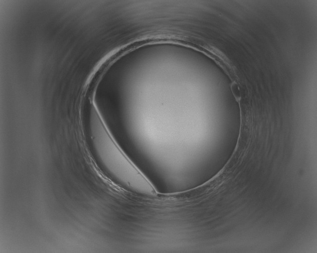 X0000053001120200507080948