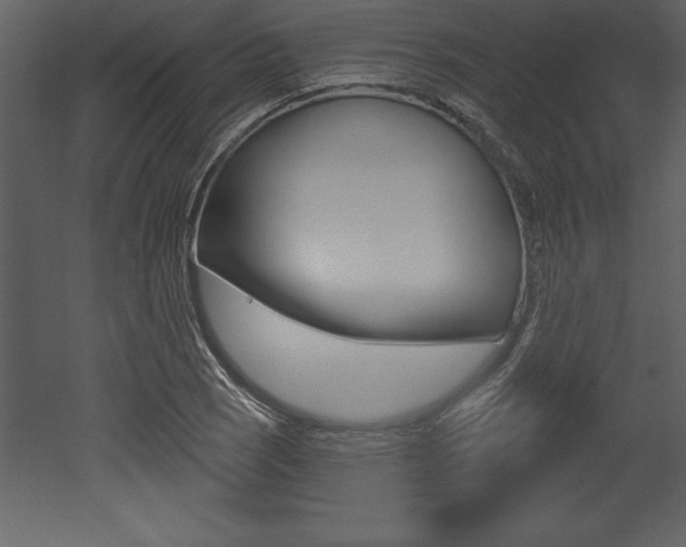 X0000053001121200507080948