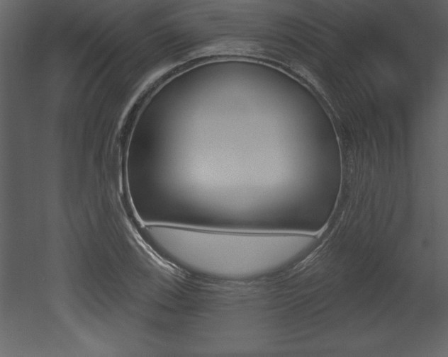 X0000053001123200507080948