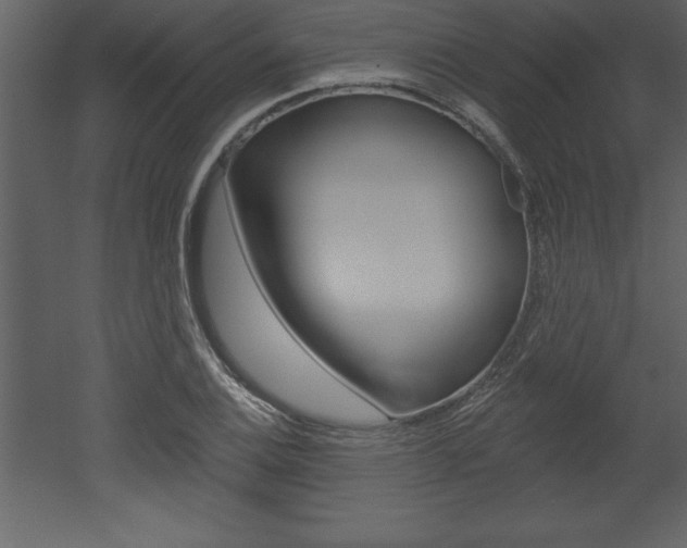 X0000053001124200507080948
