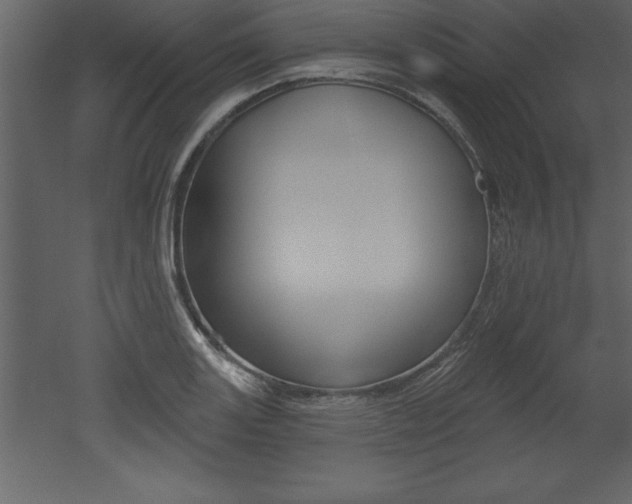 X0000053001131200507080948