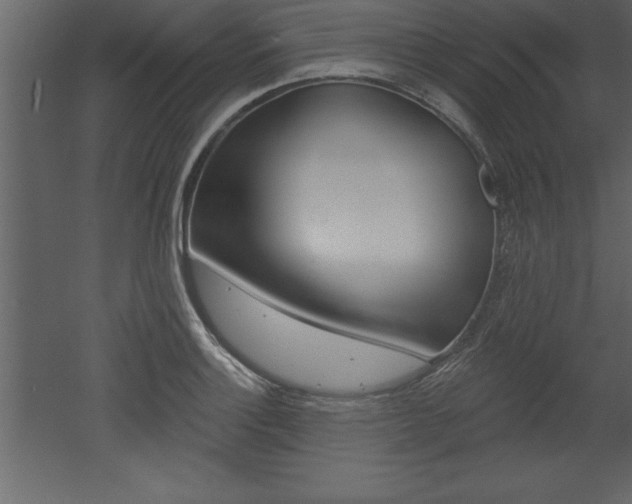 X0000053001132200507080948