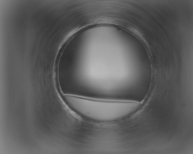 X0000053001133200507080948