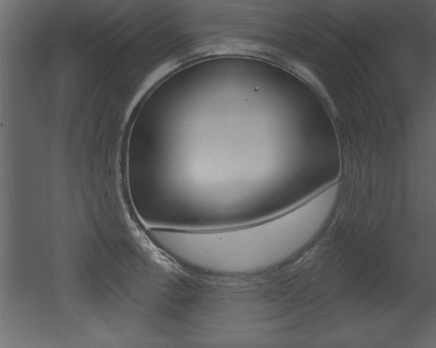 X0000053001138200507080948