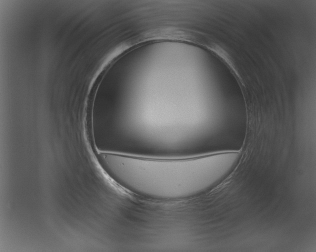 X0000053001139200507080948