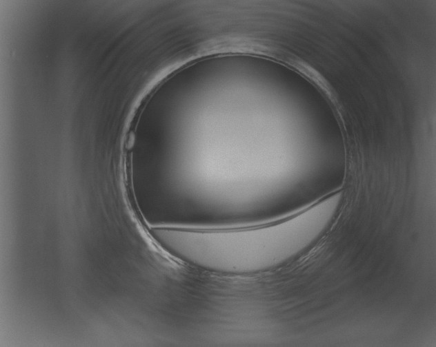 X0000053001144200507080948
