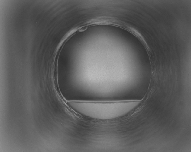 X0000053001146200507080948