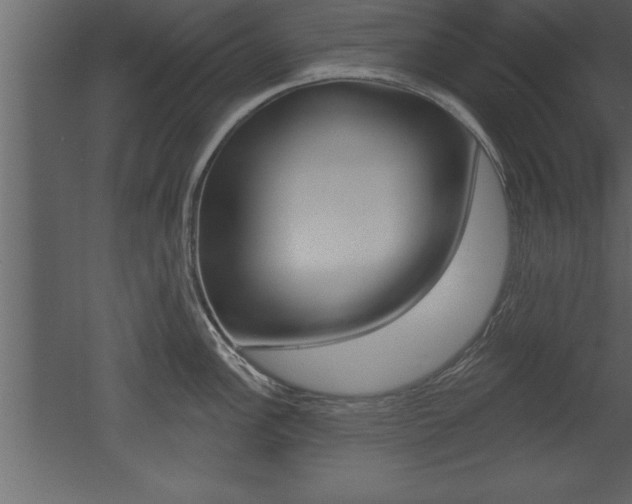 X0000053001148200507080948