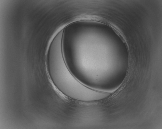 X0000053001152200507080948