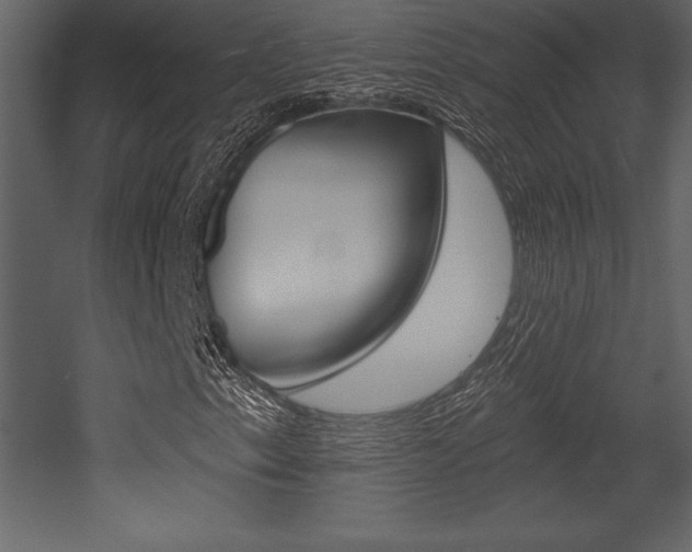 X0000053001153200507080948
