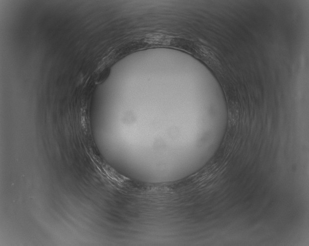 X0000053001154200507080948