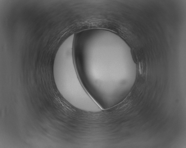 X0000053001155200507080948