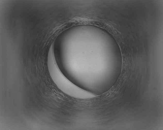 X0000053001157200507080948