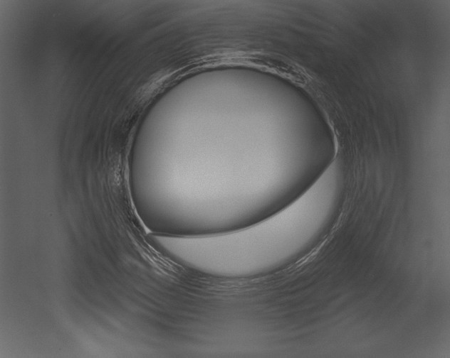 X0000053001161200507080947