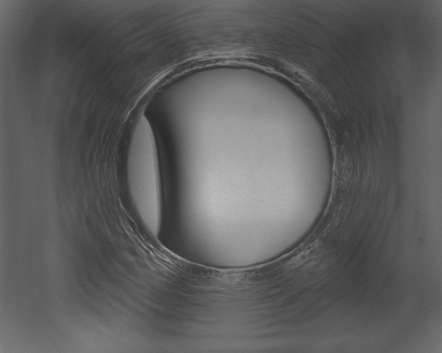 X0000053001162200507080947
