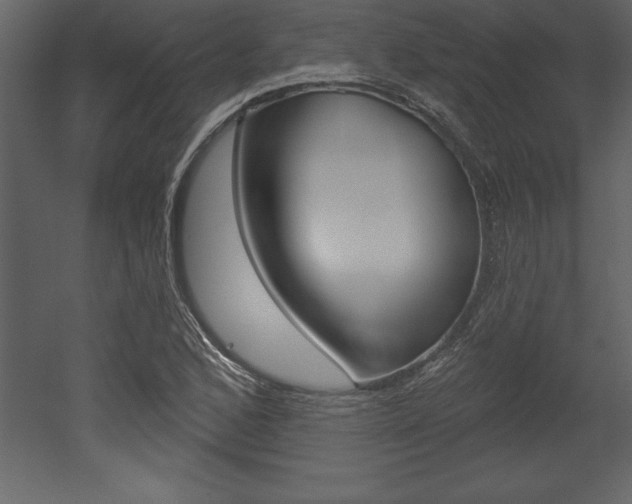 X0000053001168200507080947