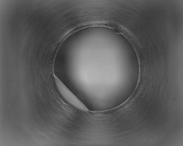 X0000053001169200507080947