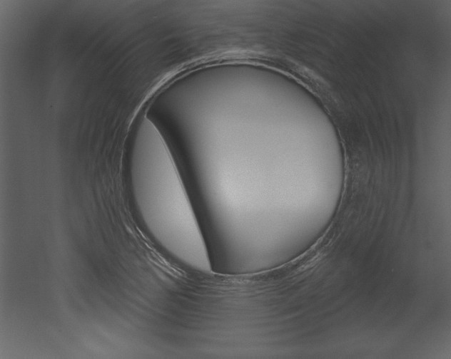 X0000053001170200507080947