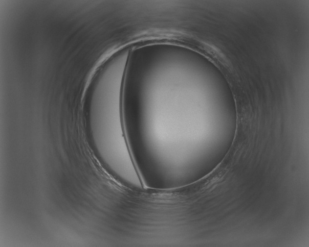 X0000053001172200507080947