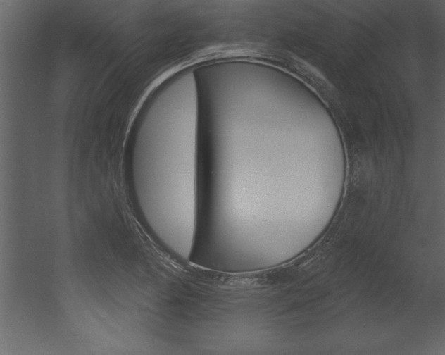 X0000053001174200507080947