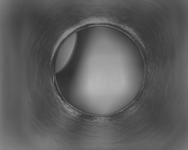 X0000053001175200507080947