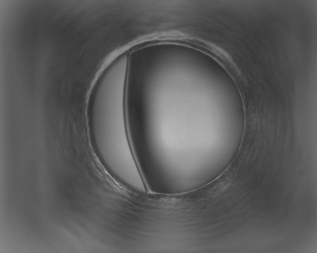 X0000053001176200507080947
