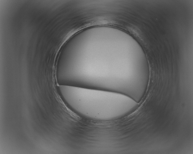 X0000053001178200507080947