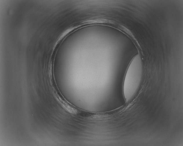X0000053001179200507080947