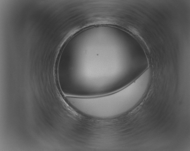 X0000053001181200507080947