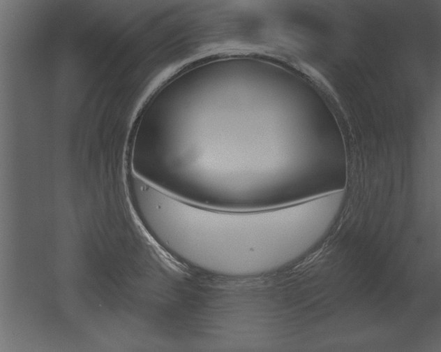 X0000053001183200507080947