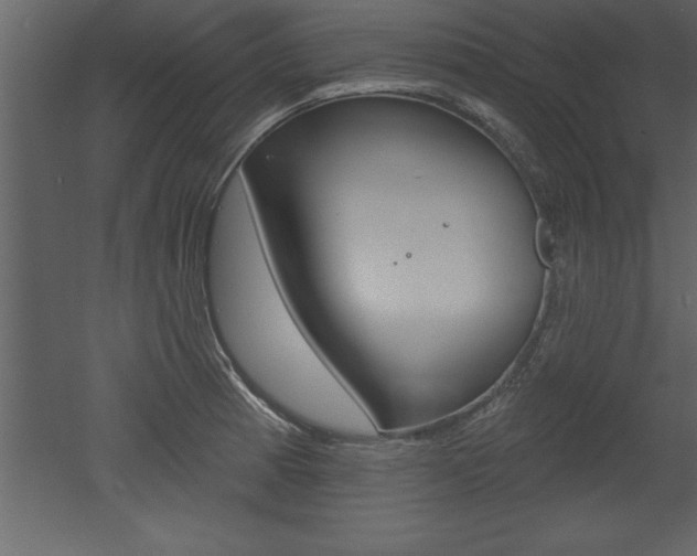 X0000053001185200507080947