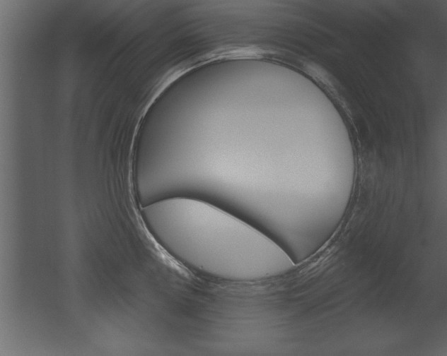 X0000053001194200507080947