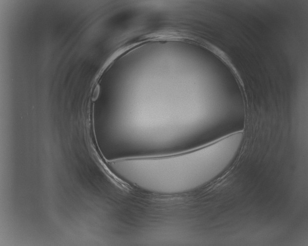 X0000053001195200507080947