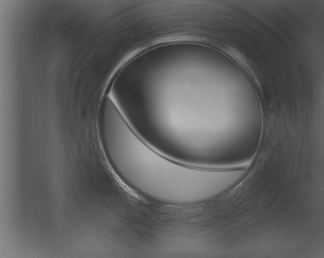 X0000053001197200507080947