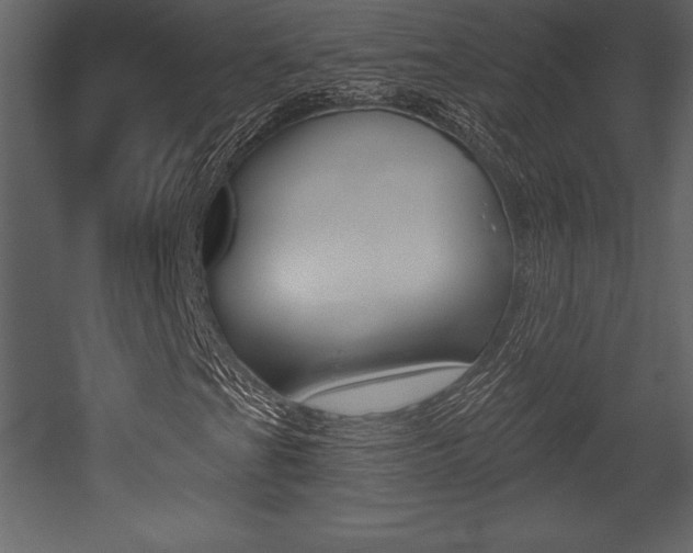 X0000053001201200507080946