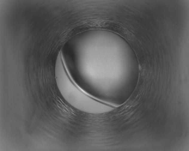 X0000053001202200507080946