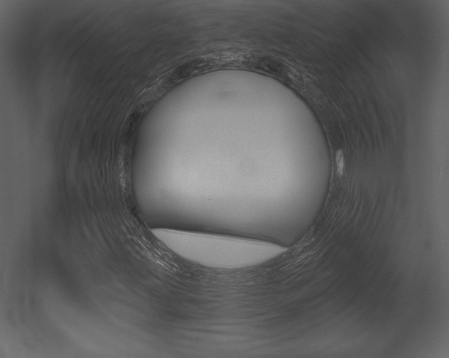 X0000053001203200507080946